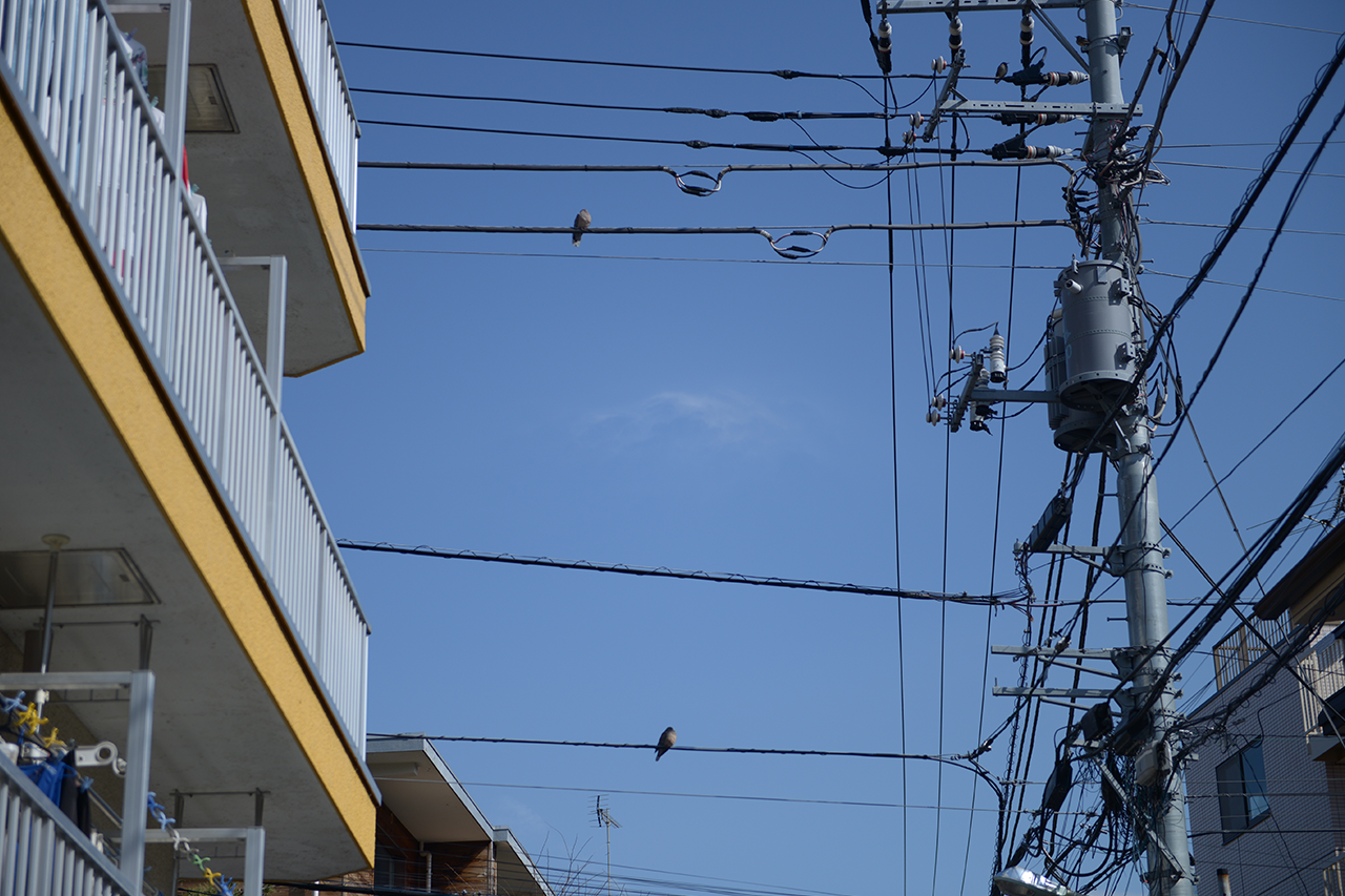 Subpage 5 - Image 2 Subpage 5 - Image 2